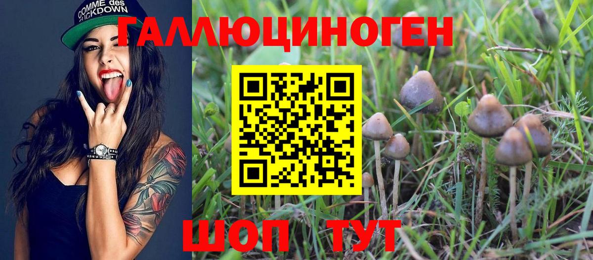 Галлюциногенные грибы Cubensis Ачинск